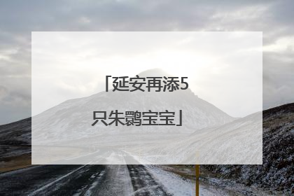 延安再添5只朱鹮宝宝
