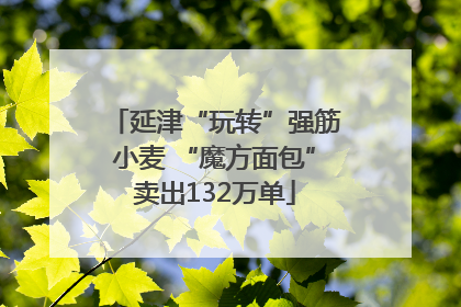 延津“玩转”强筋小麦 “魔方面包”卖出132万单