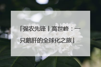 强农先锋丨高世峰：一只鹅肝的全球化之旅