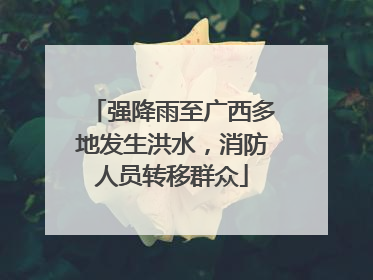 强降雨至广西多地发生洪水，消防人员转移群众