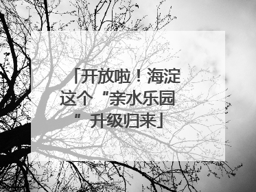 开放啦！海淀这个“亲水乐园”升级归来