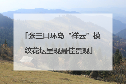 张三口环岛“祥云”模纹花坛呈现最佳景观