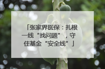 张家界医保：扎根一线“找问题”，守住基金“安全线”