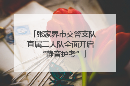 张家界市交警支队直属二大队全面开启“静音护考”