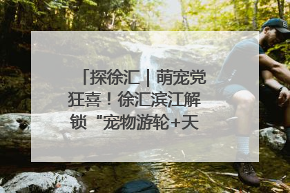 探徐汇｜萌宠党狂喜！徐汇滨江解锁“宠物游轮+天台乐园”双玩法