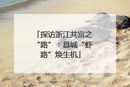 探访浙江共富之“路”：县城“虾路”焕生机