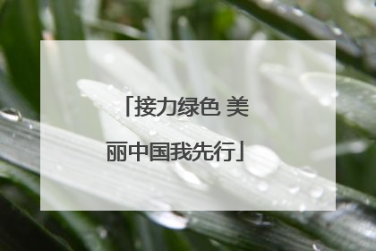 接力绿色 美丽中国我先行