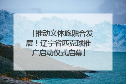 推动文体旅融合发展！辽宁省匹克球推广启动仪式启幕