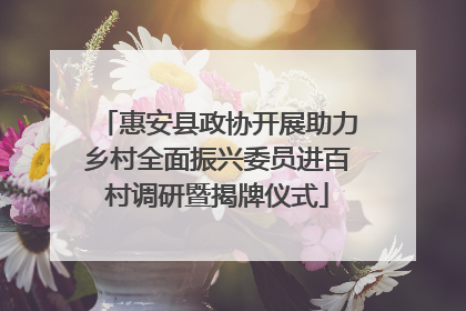 惠安县政协开展助力乡村全面振兴委员进百村调研暨揭牌仪式