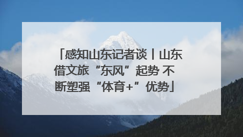 感知山东记者谈丨山东借文旅“东风”起势 不断塑强“体育+”优势
