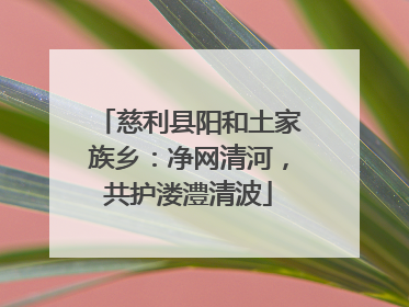 慈利县阳和土家族乡：净网清河，共护溇澧清波