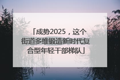 成势2025，这个街道多维锻造新时代复合型年轻干部梯队