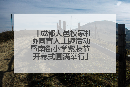成都大邑校家社协同育人主题活动暨南街小学紫藤节开幕式圆满举行