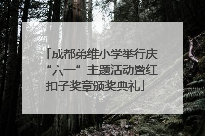 成都弟维小学举行庆“六一”主题活动暨红扣子奖章颁奖典礼