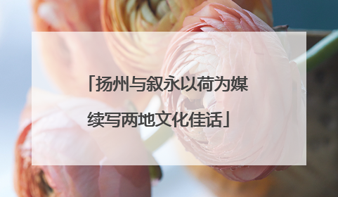 扬州与叙永以荷为媒续写两地文化佳话