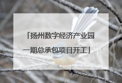 扬州数字经济产业园一期总承包项目开工