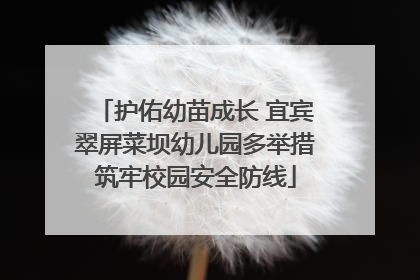 护佑幼苗成长 宜宾翠屏菜坝幼儿园多举措筑牢校园安全防线
