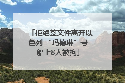 拒绝签文件离开以色列 “玛德琳”号船上8人被拘