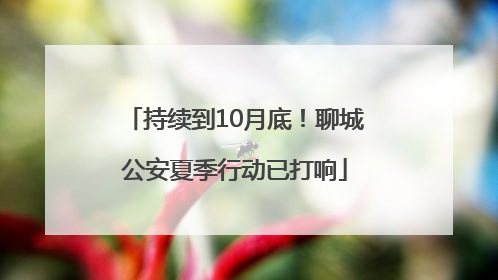 持续到10月底！聊城公安夏季行动已打响