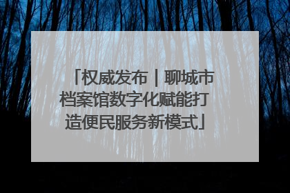 权威发布｜聊城市档案馆数字化赋能打造便民服务新模式
