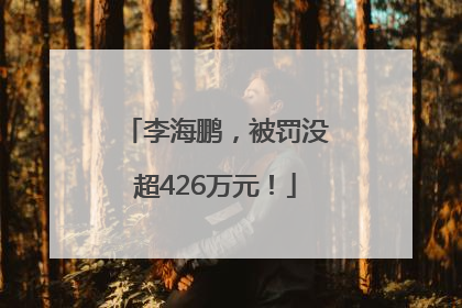 李海鹏，被罚没超426万元！