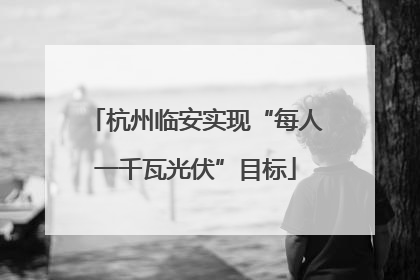 杭州临安实现“每人一千瓦光伏”目标