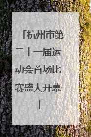 杭州市第二十一届运动会首场比赛盛大开幕