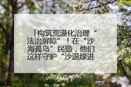 构筑荒漠化治理“法治屏障”！在“沙海孤岛”民勤，他们这样守护“沙退绿进”的生态奇迹