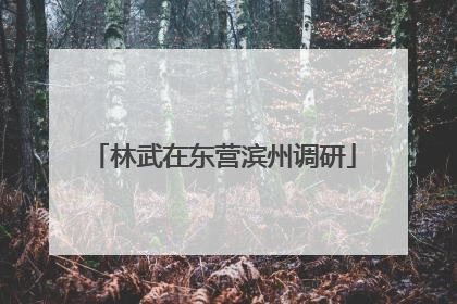 林武在东营滨州调研