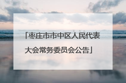 枣庄市市中区人民代表大会常务委员会公告