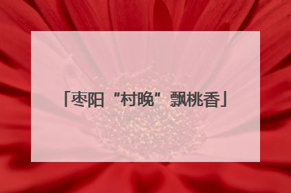 枣阳“村晚”飘桃香