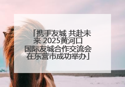 携手友城 共赴未来 2025黄河口国际友城合作交流会在东营市成功举办
