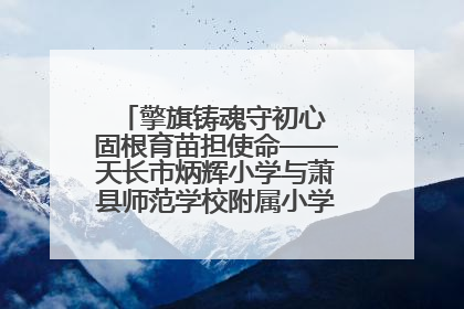 擎旗铸魂守初心 固根育苗担使命——天长市炳辉小学与萧县师范学校附属小学结对共建活动纪实