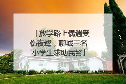 放学路上偶遇受伤夜鹭，聊城三名小学生求助民警