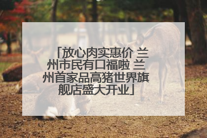 放心肉实惠价 兰州市民有口福啦 兰州首家品高猪世界旗舰店盛大开业