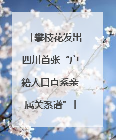 攀枝花发出四川首张“户籍人口直系亲属关系谱”