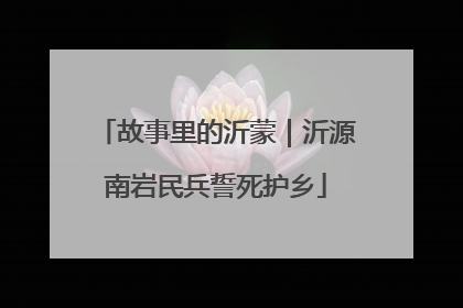 故事里的沂蒙｜沂源南岩民兵誓死护乡