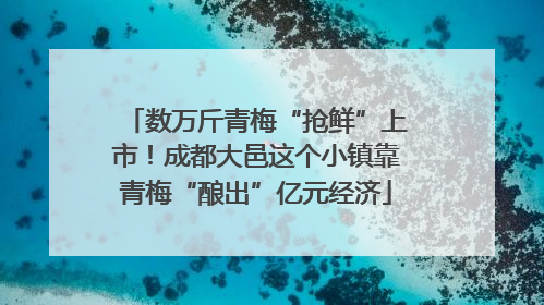 数万斤青梅“抢鲜”上市！成都大邑这个小镇靠青梅“酿出”亿元经济