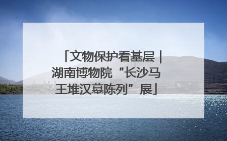 文物保护看基层｜湖南博物院“长沙马王堆汉墓陈列”展