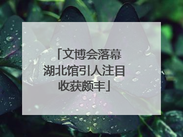 文博会落幕 湖北馆引人注目收获颇丰