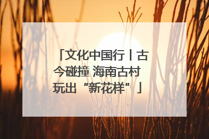 文化中国行丨古今碰撞 海南古村玩出“新花样”