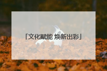文化赋能 焕新出彩