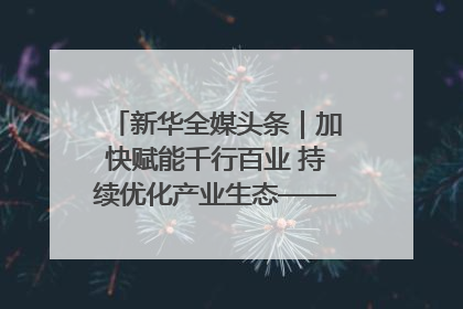 新华全媒头条｜加快赋能千行百业 持续优化产业生态——浙江推动人工智能健康有序发展观察