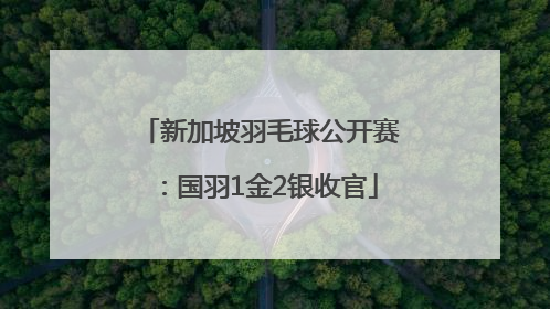 新加坡羽毛球公开赛：国羽1金2银收官