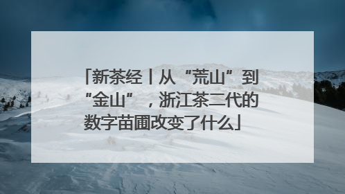 新茶经丨从“荒山”到“金山”，浙江茶二代的数字苗圃改变了什么