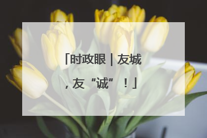 时政眼｜友城，友“诚”！