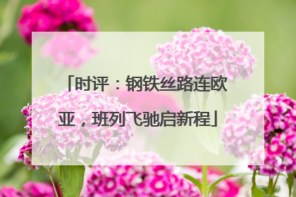 时评：钢铁丝路连欧亚，班列飞驰启新程