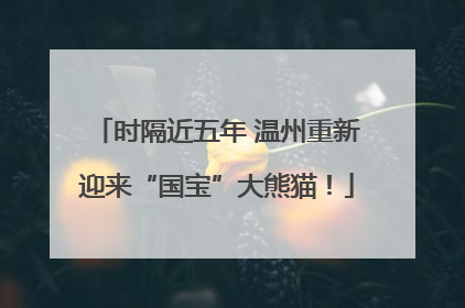 时隔近五年 温州重新迎来“国宝”大熊猫！