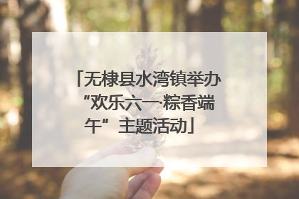 无棣县水湾镇举办“欢乐六一·粽香端午”主题活动
