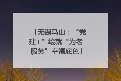 无锡马山：“党建+”绘就“为老服务”幸福底色